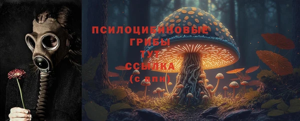 мефедрон мука Гусь-Хрустальный