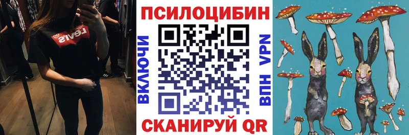 Купить  Рошаль  Псилоцибиновые грибы GOLDEN TEACHER 