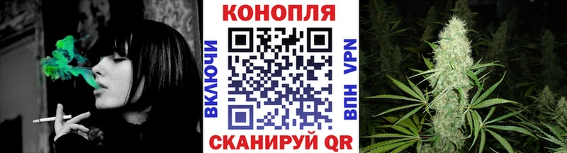 Конопля гибрид  Купить  Рошаль 